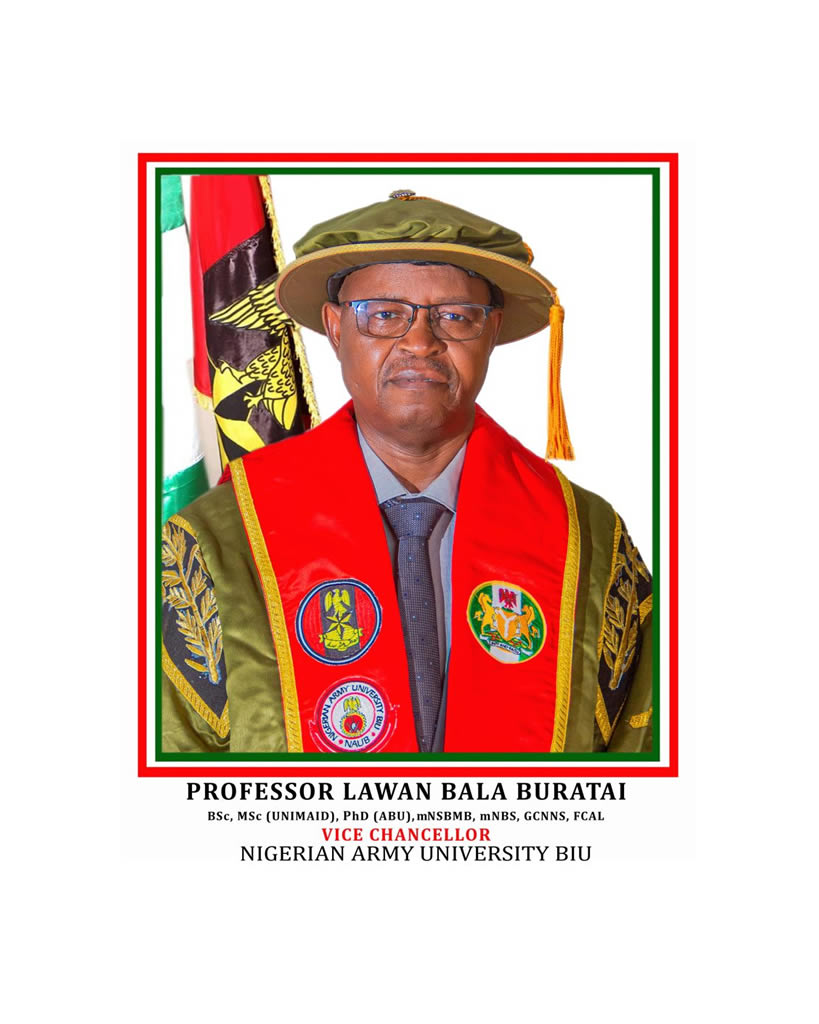Nigerian Army University Biu gate